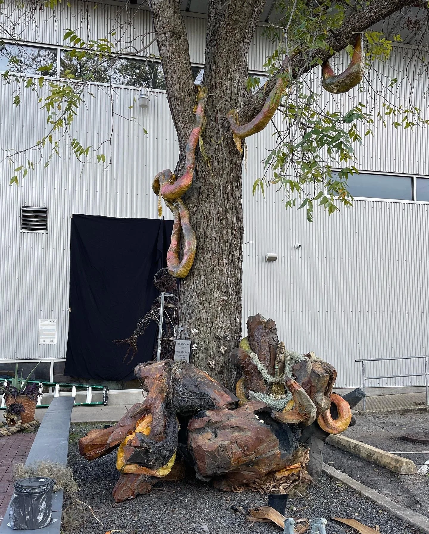 531F9200-0B22-42DC-898D-D61B886A742B 2.JPG