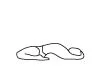 fixed-firm pose.jpg