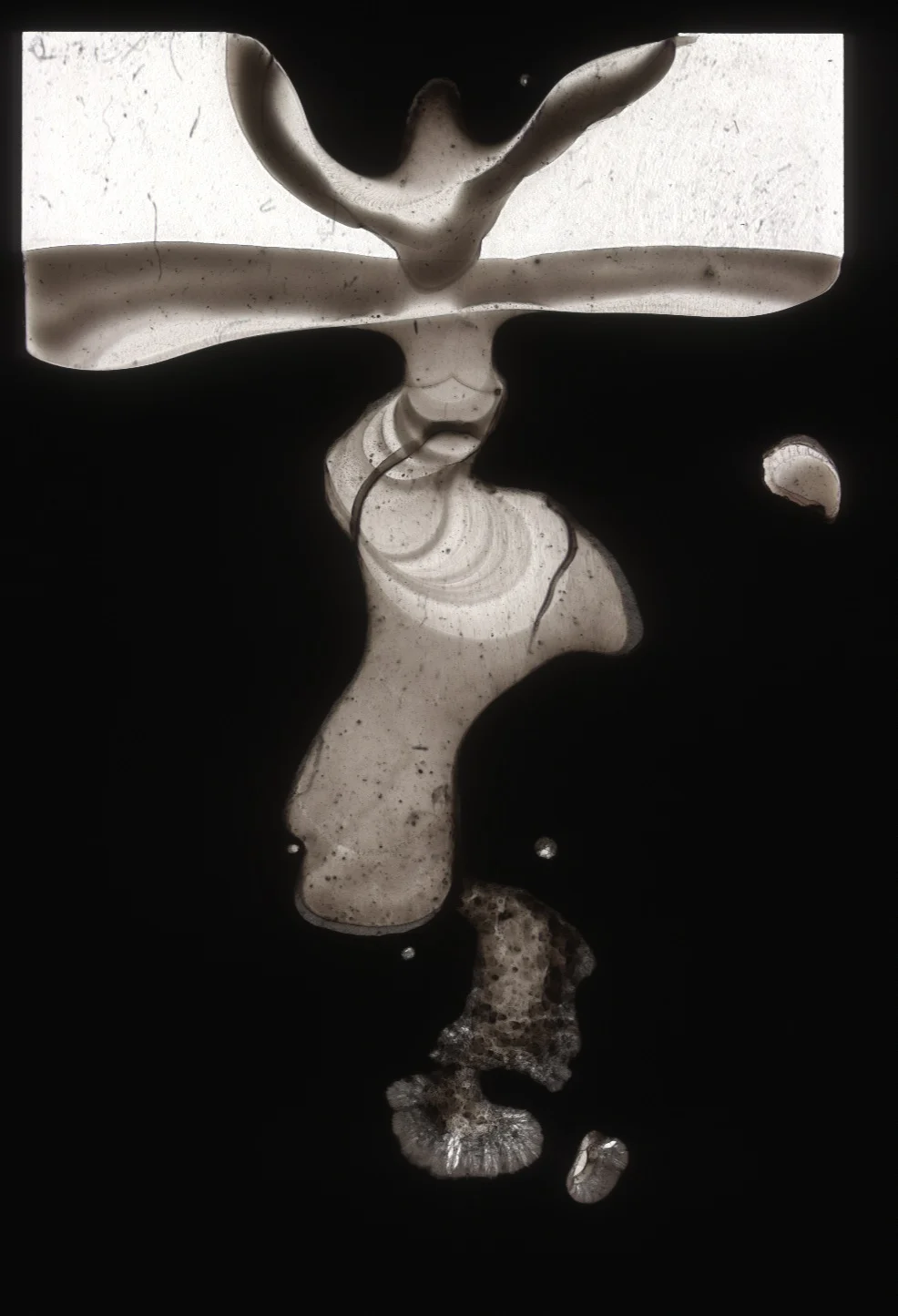 Digital Scan 2” x 2” Projection Slide, Hair Weave Bonding Glue 2014