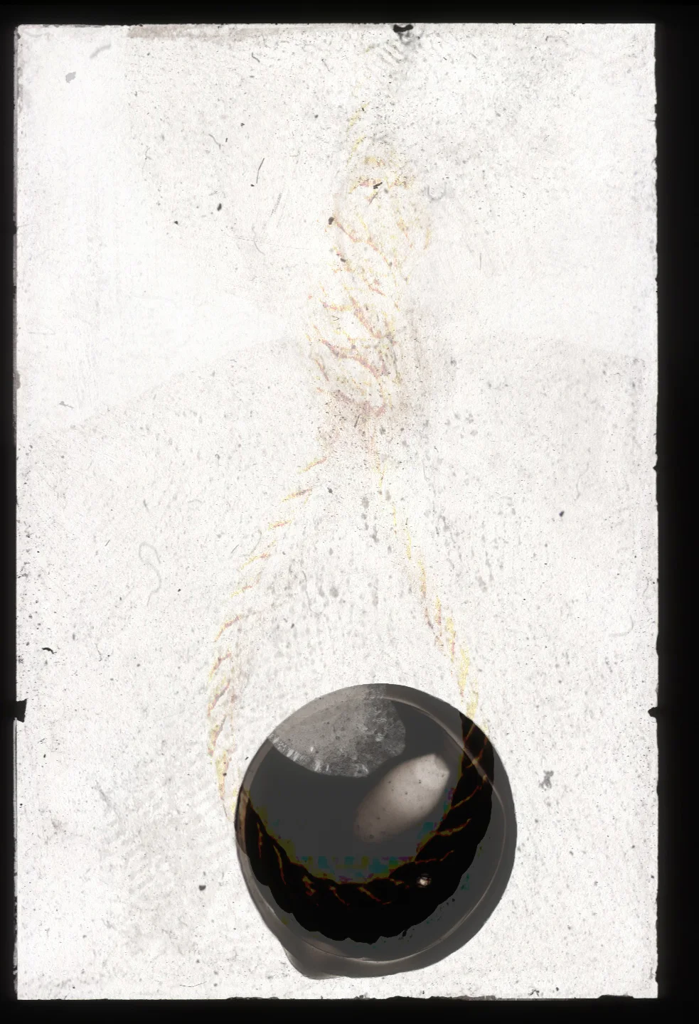 Digital Collage 2” x 2” Projection Slide, Hair Weave Bonding Glue 2014
