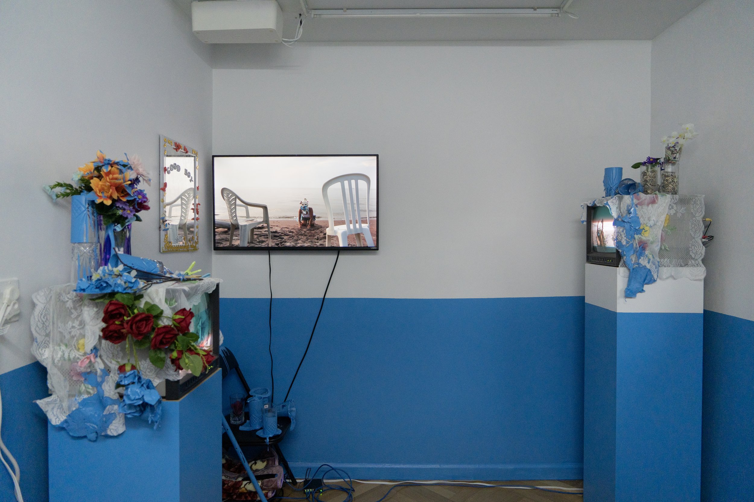 Puppy's Play and Punishment