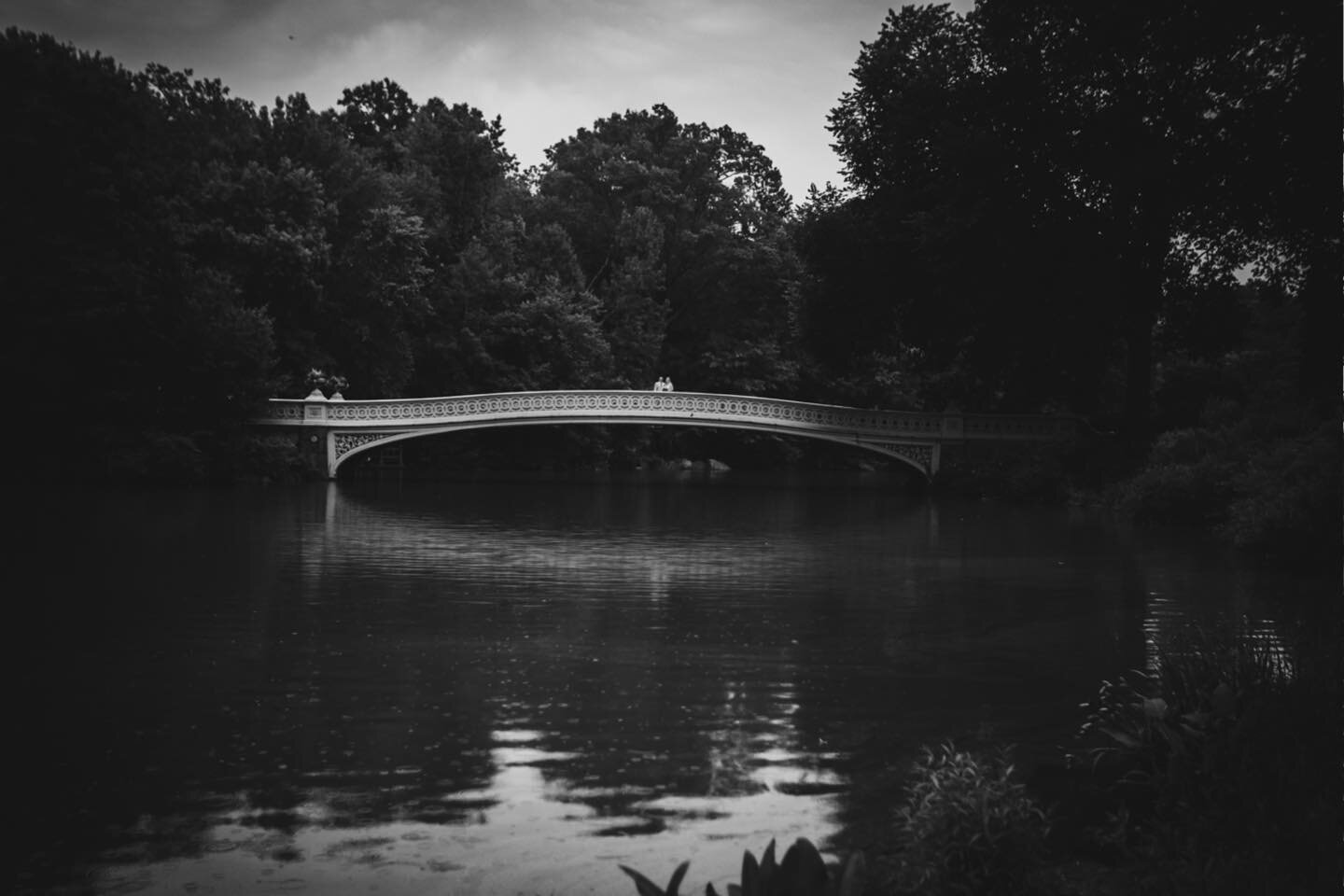 #CentralPark #weddingportraits in #blackandwhite 🖤