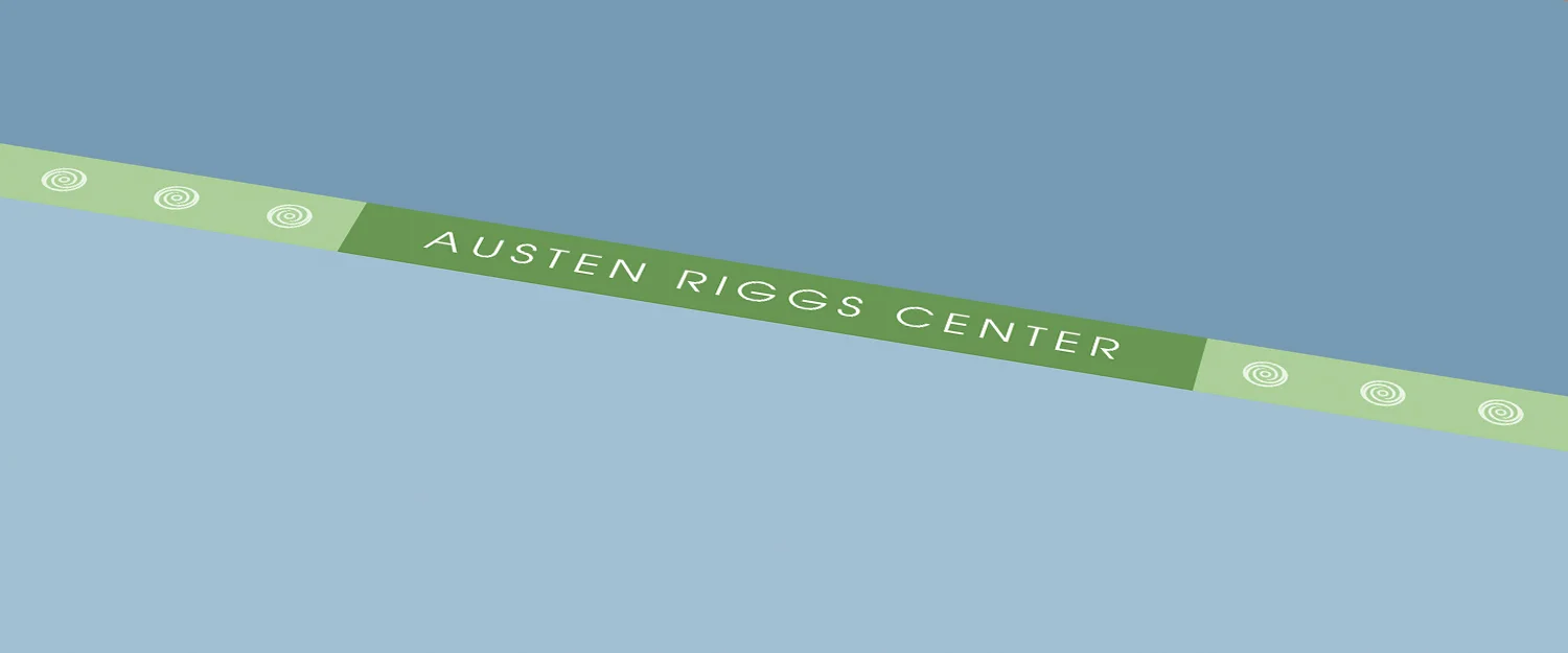 Riggs closeup_1500x625.jpg