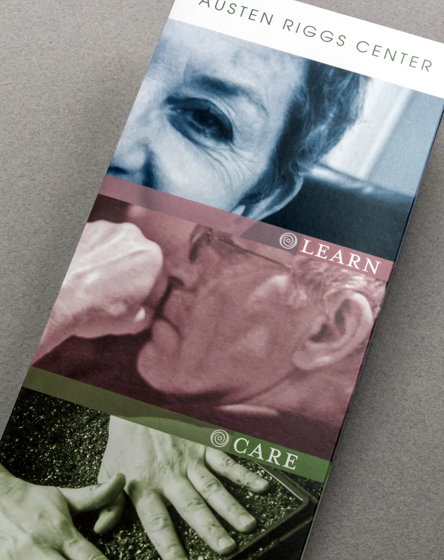 Riggs-appeal-cover.jpg