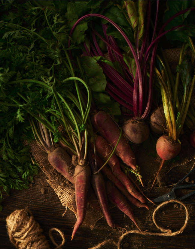 RootVeg.png