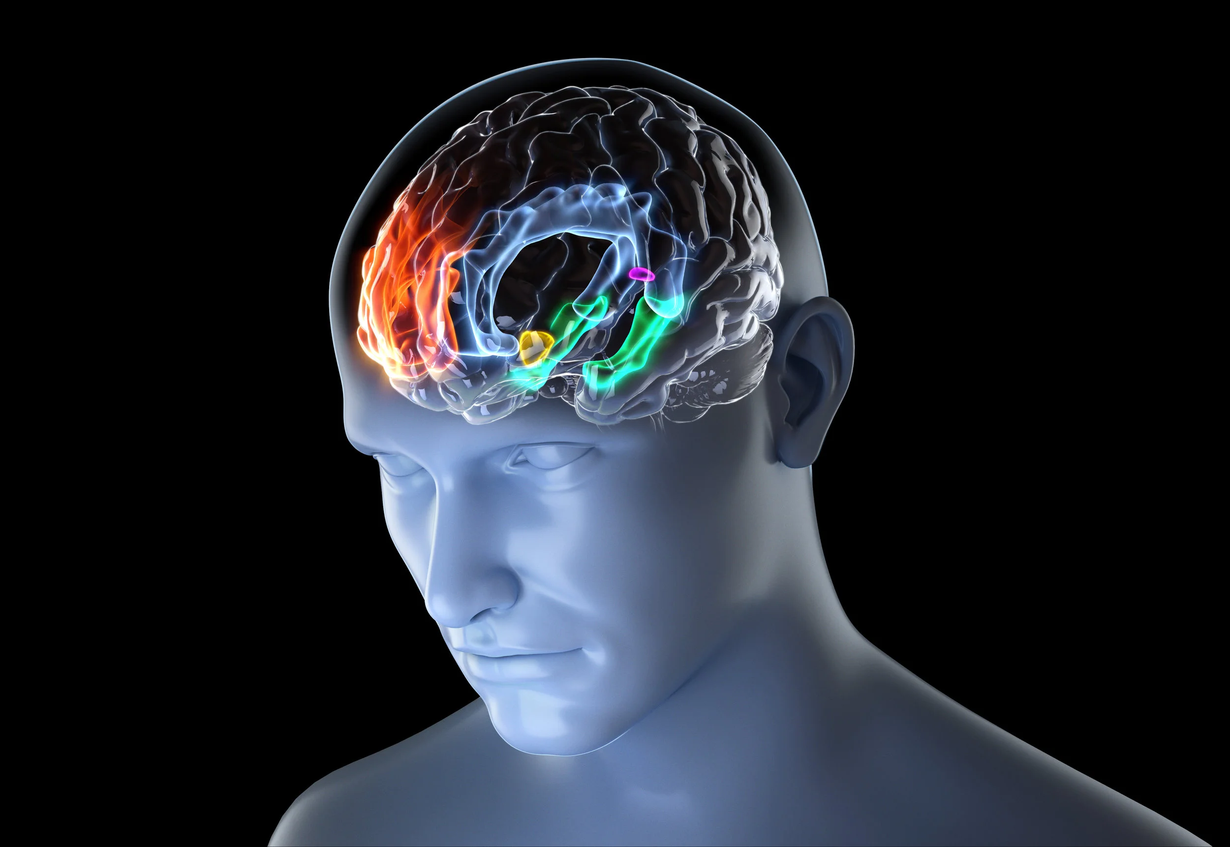 popular-mechanics-brain.jpg