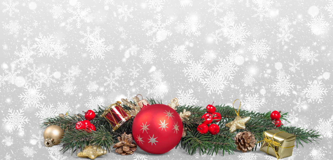 Holiday Web 2025 (2).png