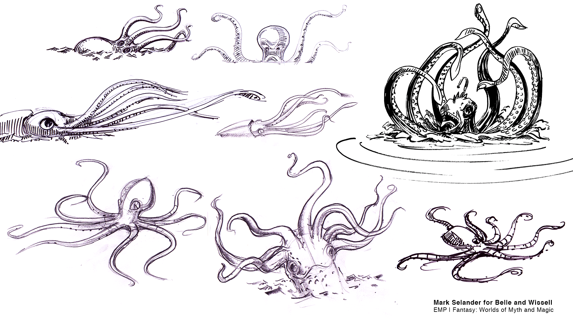 Selander_Myth_Magic_Pirate_Monster.gif