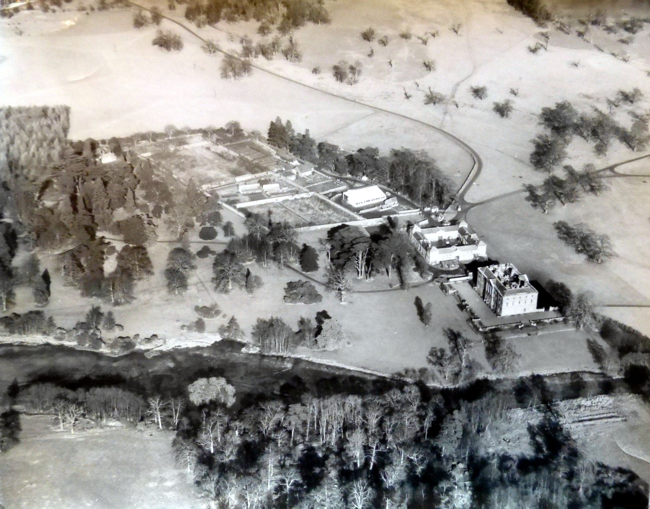 aerial view cropped-001.jpg