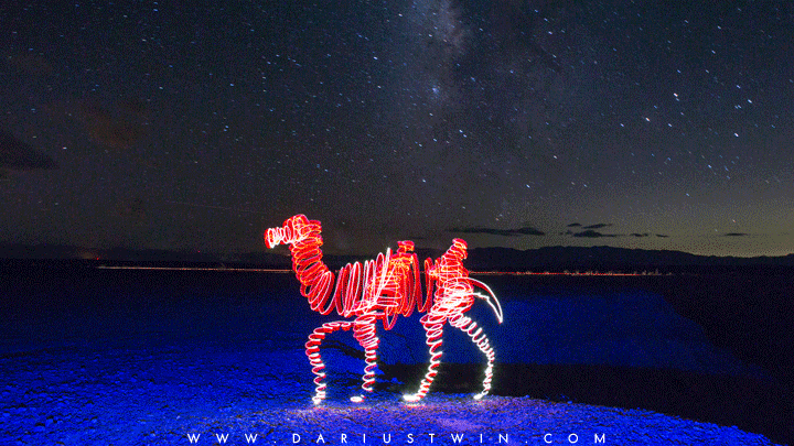 Camel.gif
