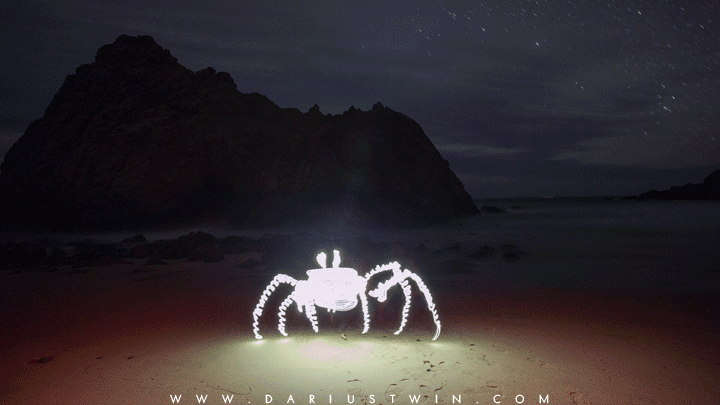 crabwalker.gif