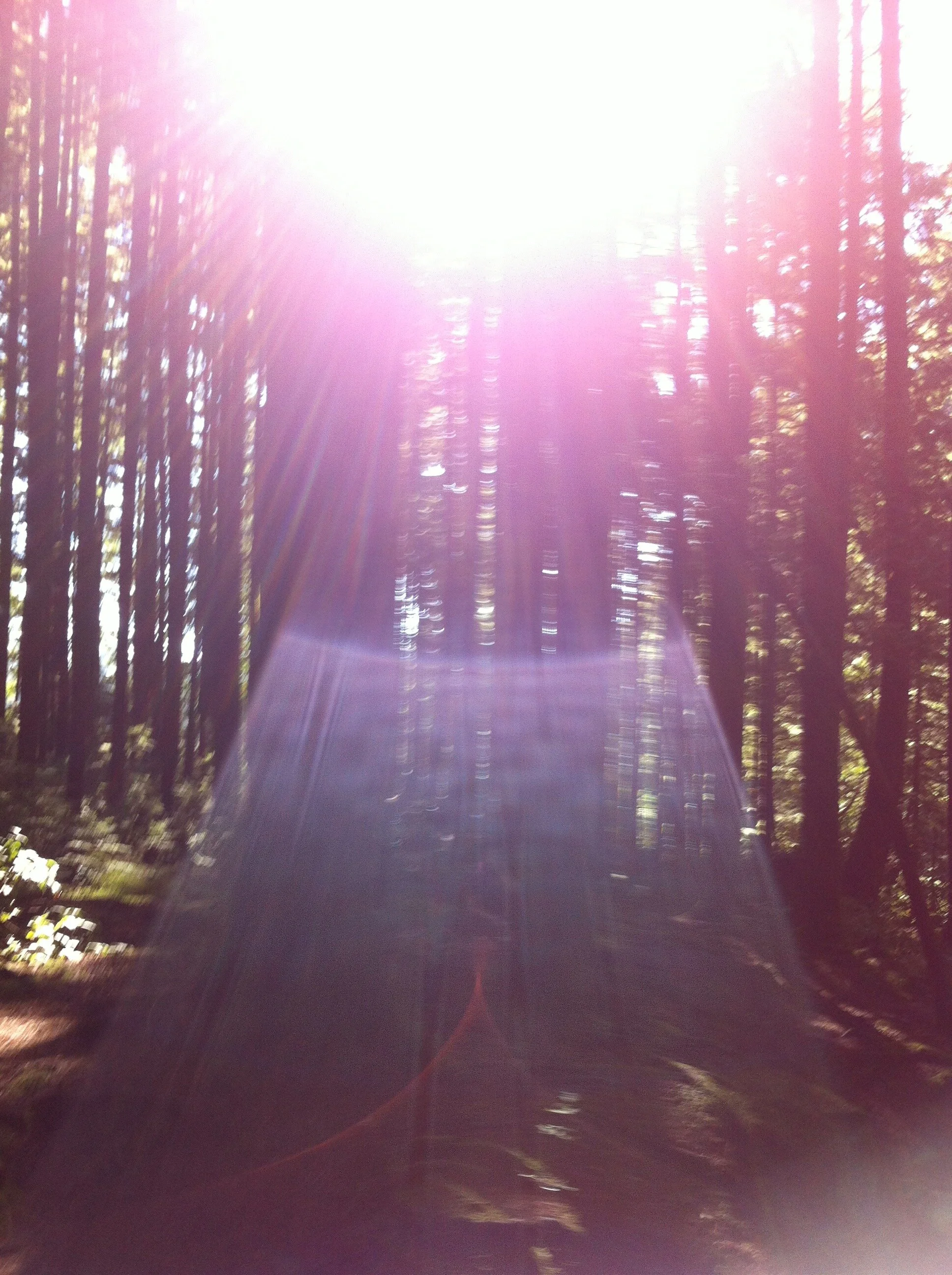 Free Meditation for Pisces Season