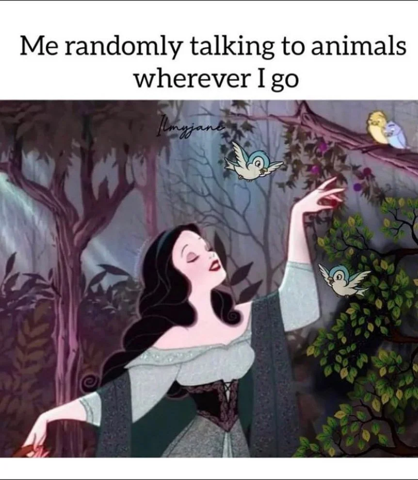 Last day of Pisces season meme dump!!! 

Sun goes into Aries tomorrow (2:24pm PST) marking the spring equinox! Holy moly here we are. 

And with the Aries New Moon on Tuesday AND Pluto moving into Aquarius Thursday, there will be a massive energetic 