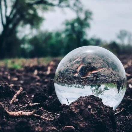 Full Moon in Virgo🪱

It begins beneath our feet, in the depths of the psyche, with minute movements in preparation for new growth. The worms are waking up. Spring is almost here.

The Full Moon in Virgo, Worm Moon, on March 7th, initiates us into fa