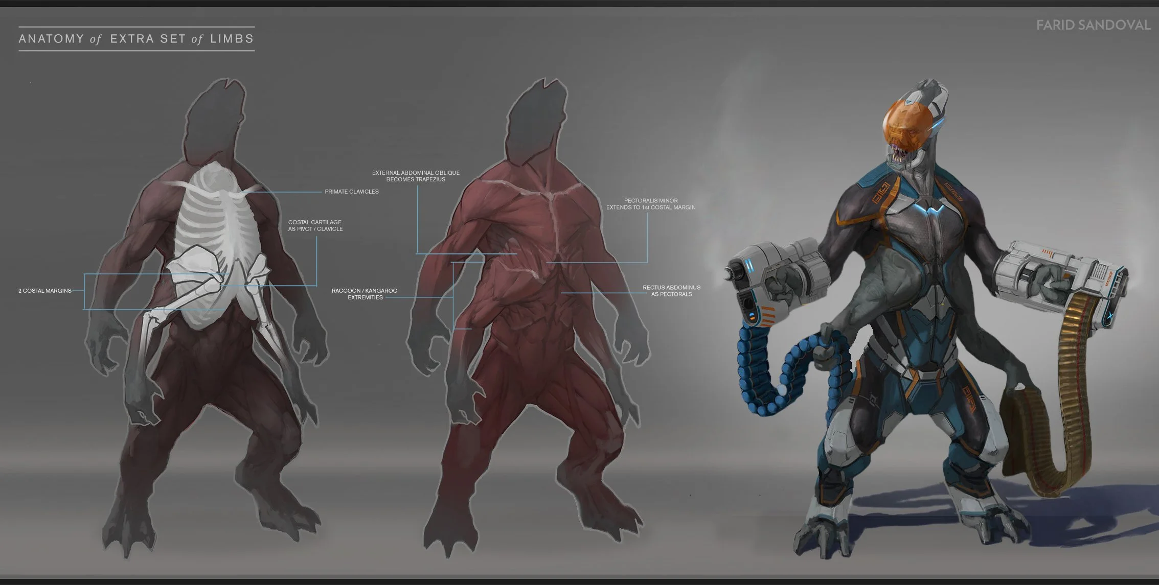MASTER_alienAnatomy copy.jpg