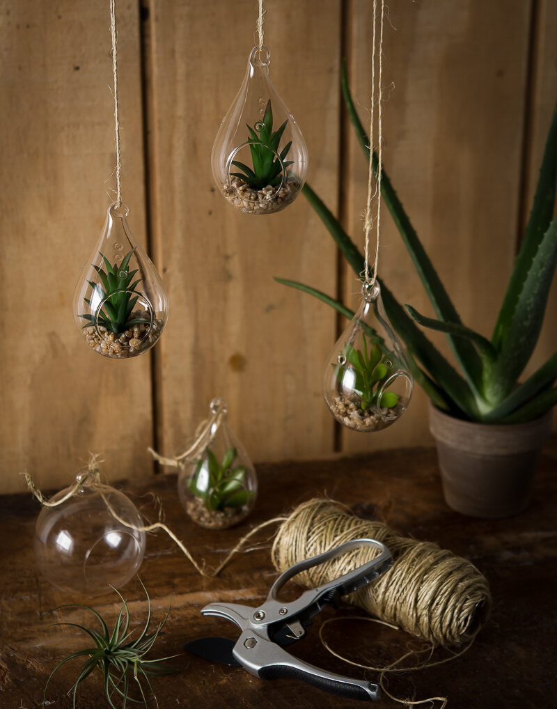 Kristen-Phillips--Plants-Glass.jpg