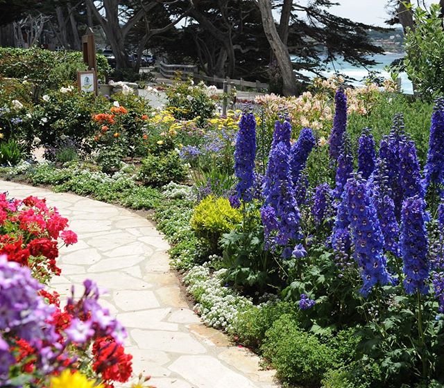 Carmel Seaside Garden