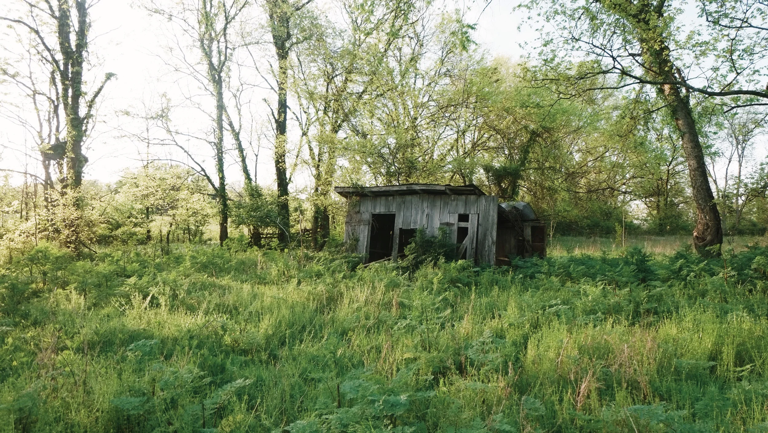 image5.jpeg