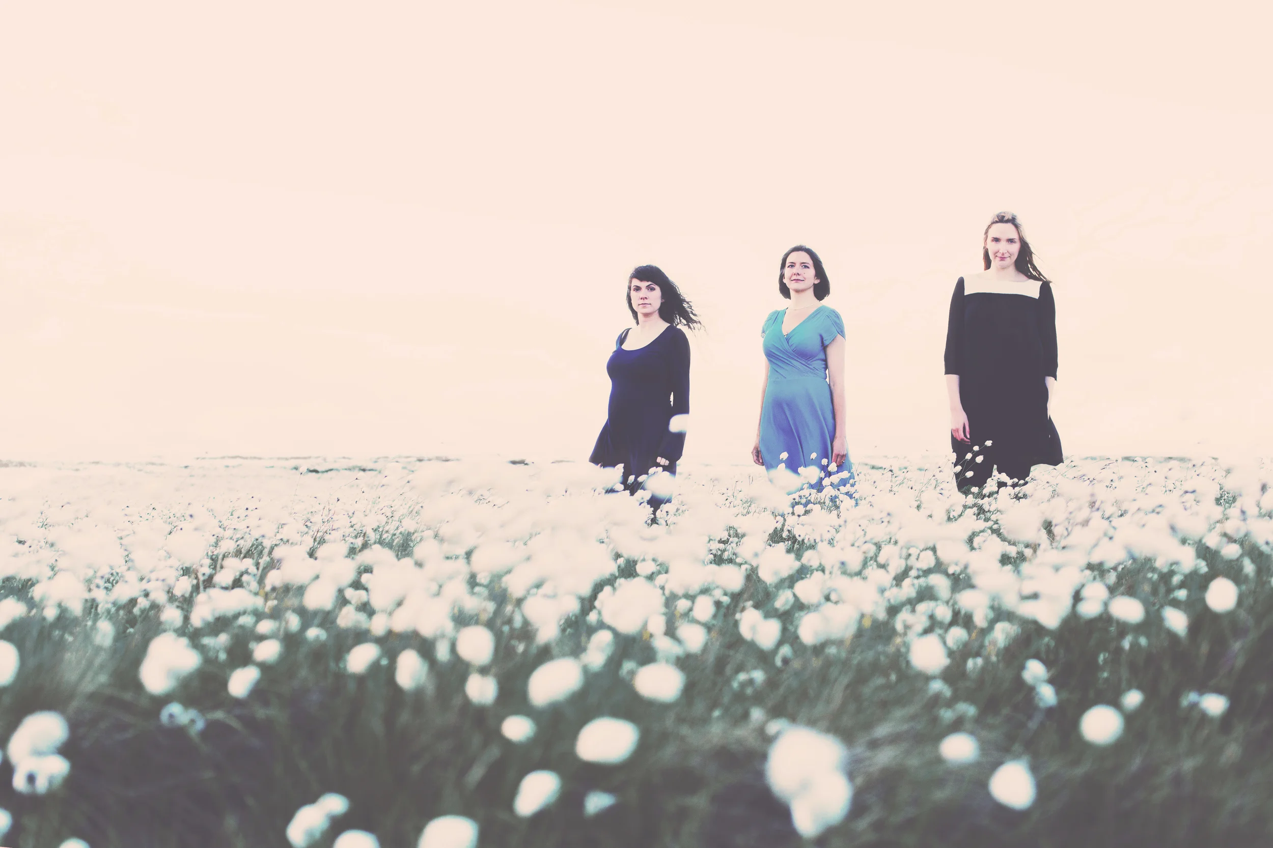 Emily Portman Trio Ireland Trip