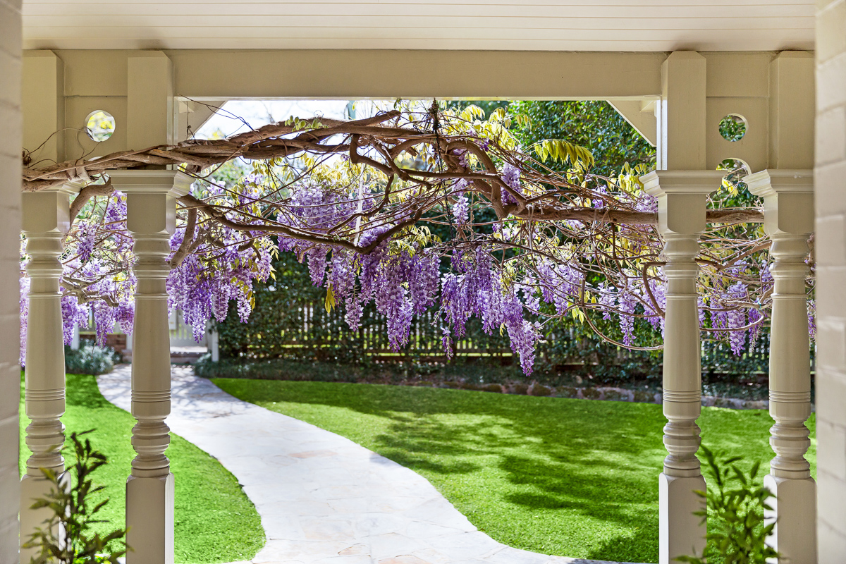 59 Clanville - Wisteria - Web.jpg