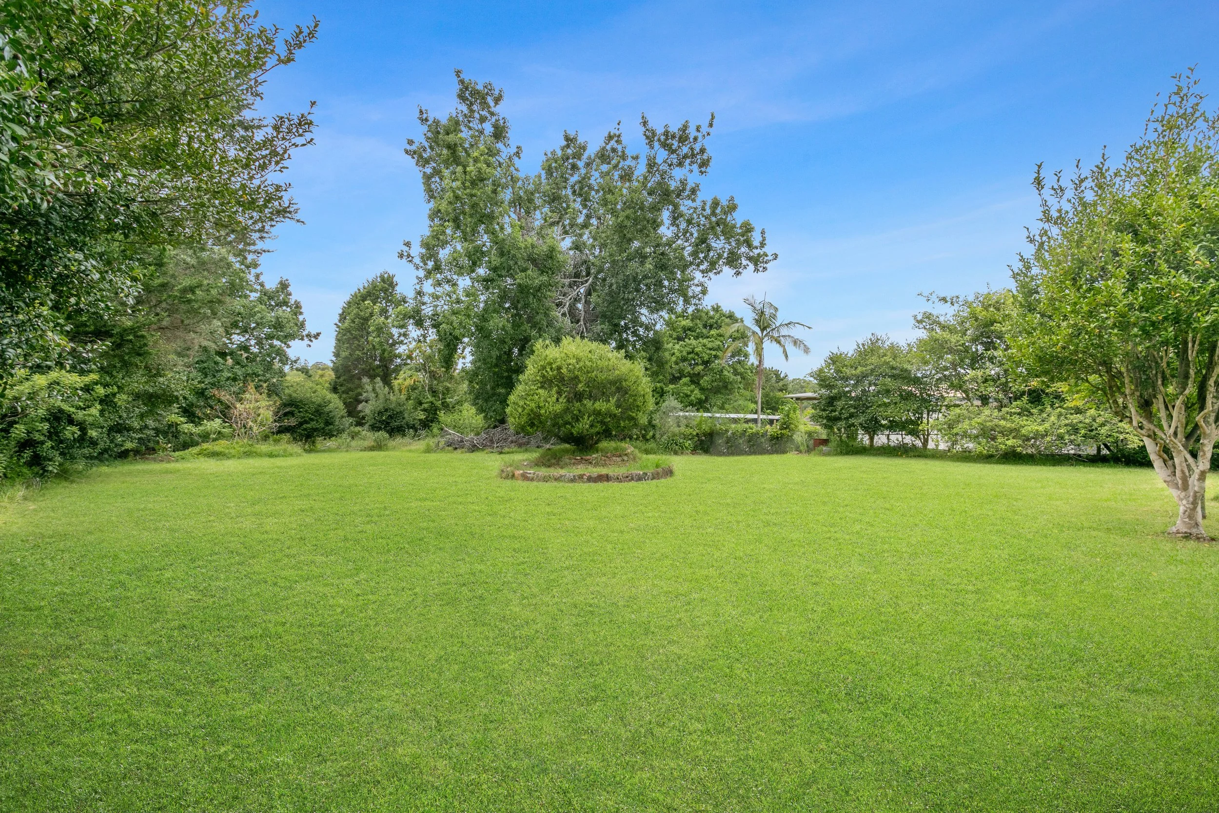 Backyard.jpg