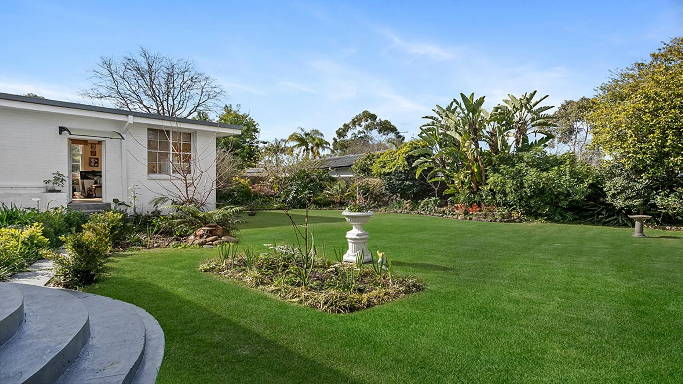 Backyard.jpg