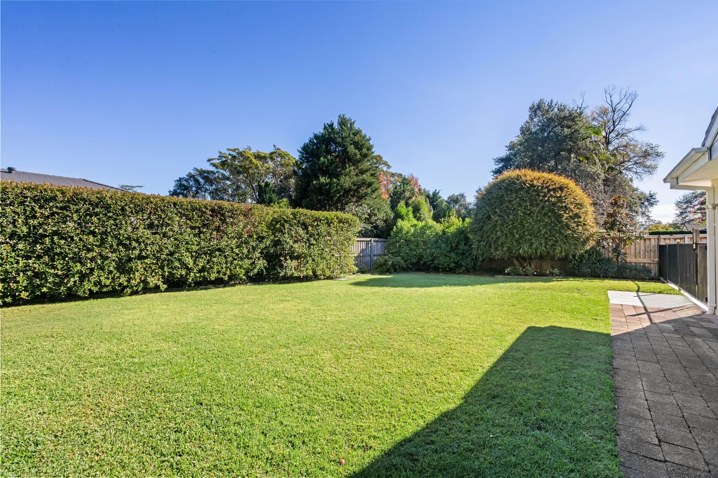 Backyard sm.jpg