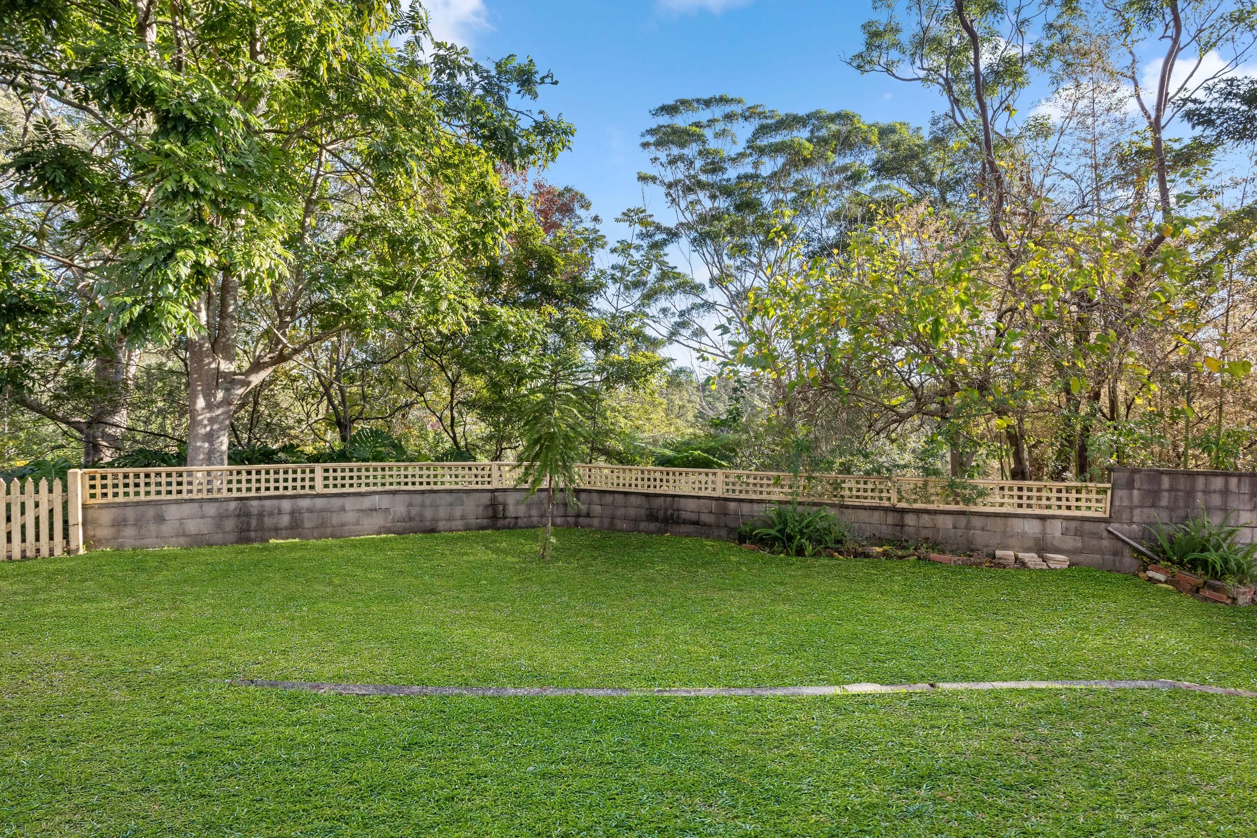Backyard sm.jpg