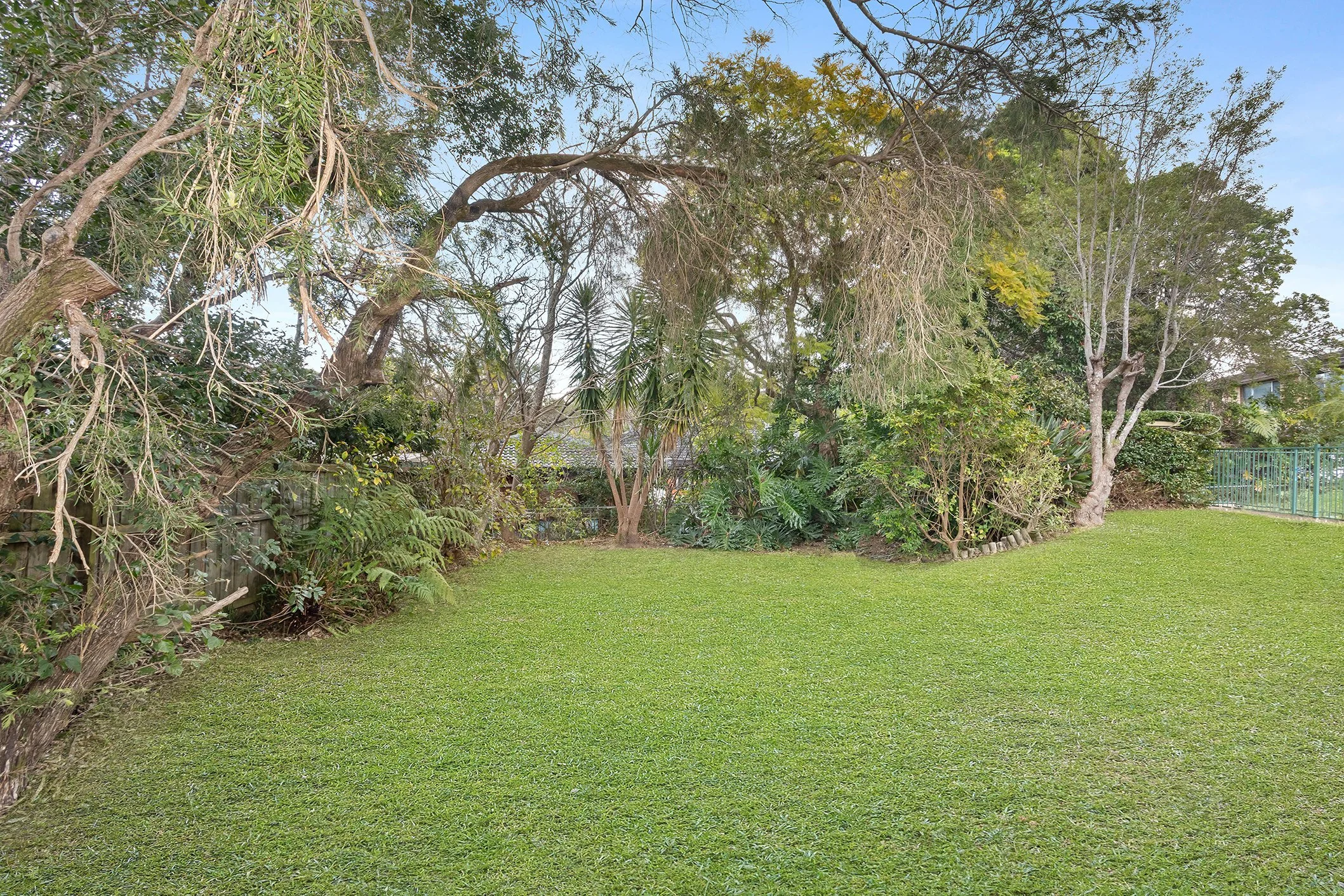 Backyard (5).jpg
