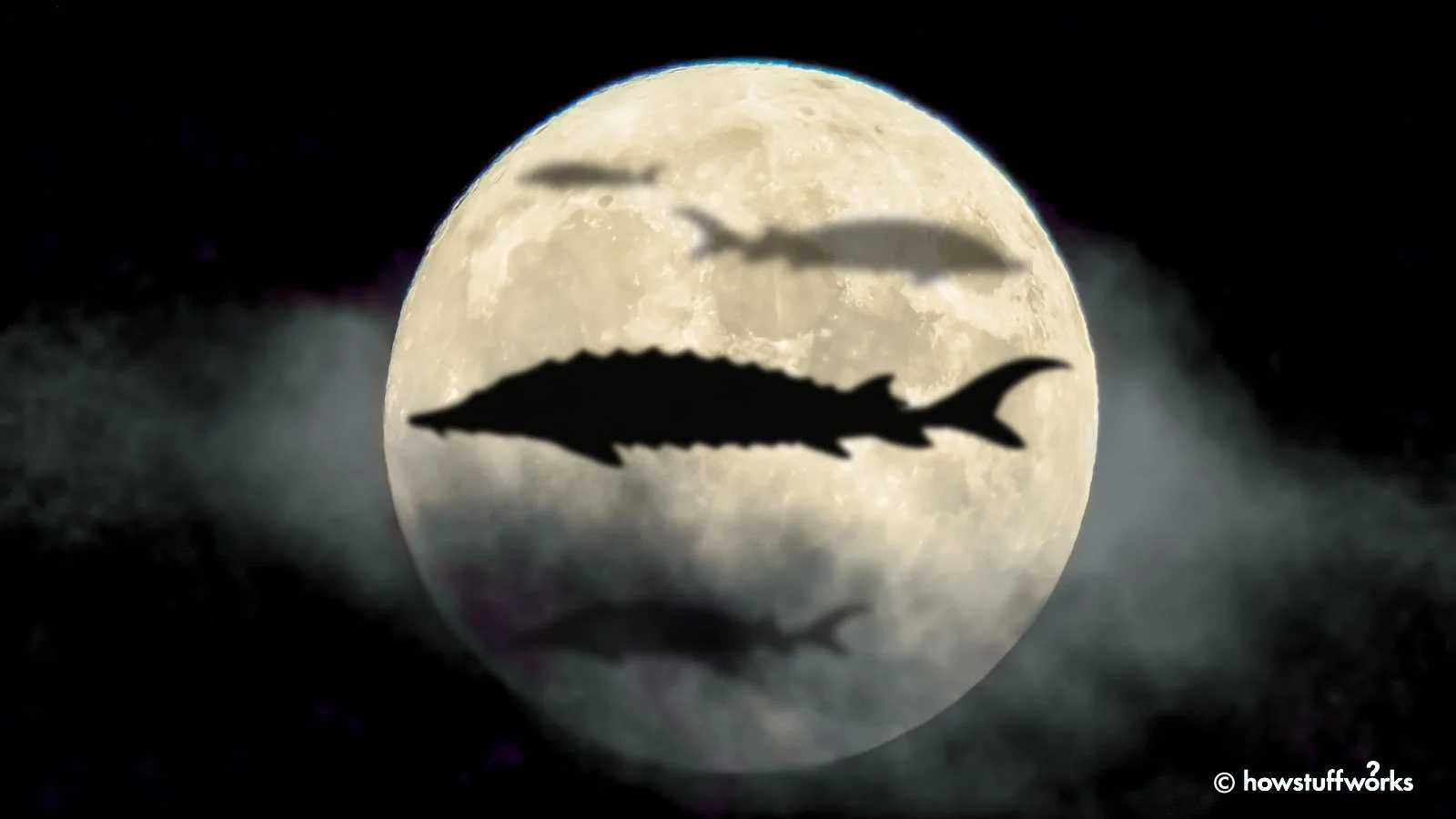 Full Moon Gathering: Mindful Practices and Community Connection with Carrie Dennison