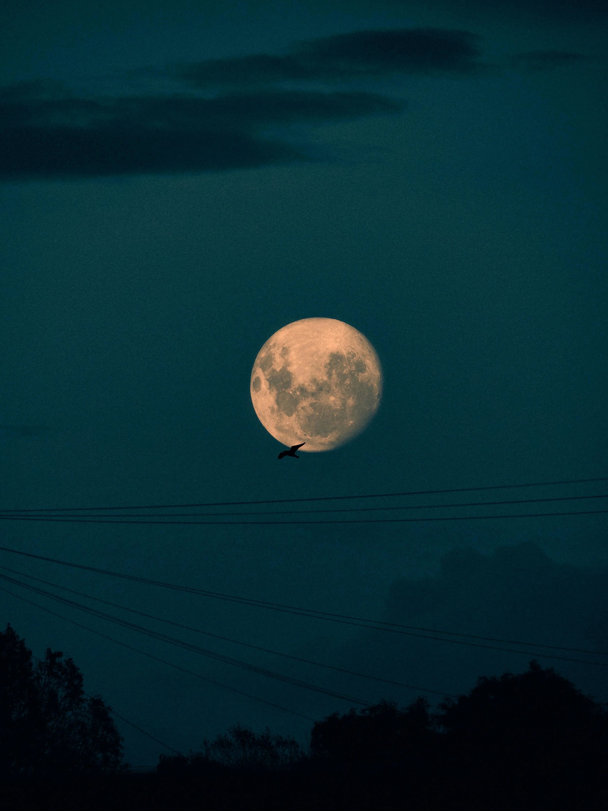 Full Moon Gathering: Mindful Practices and Community Connection with Carrie Dennison