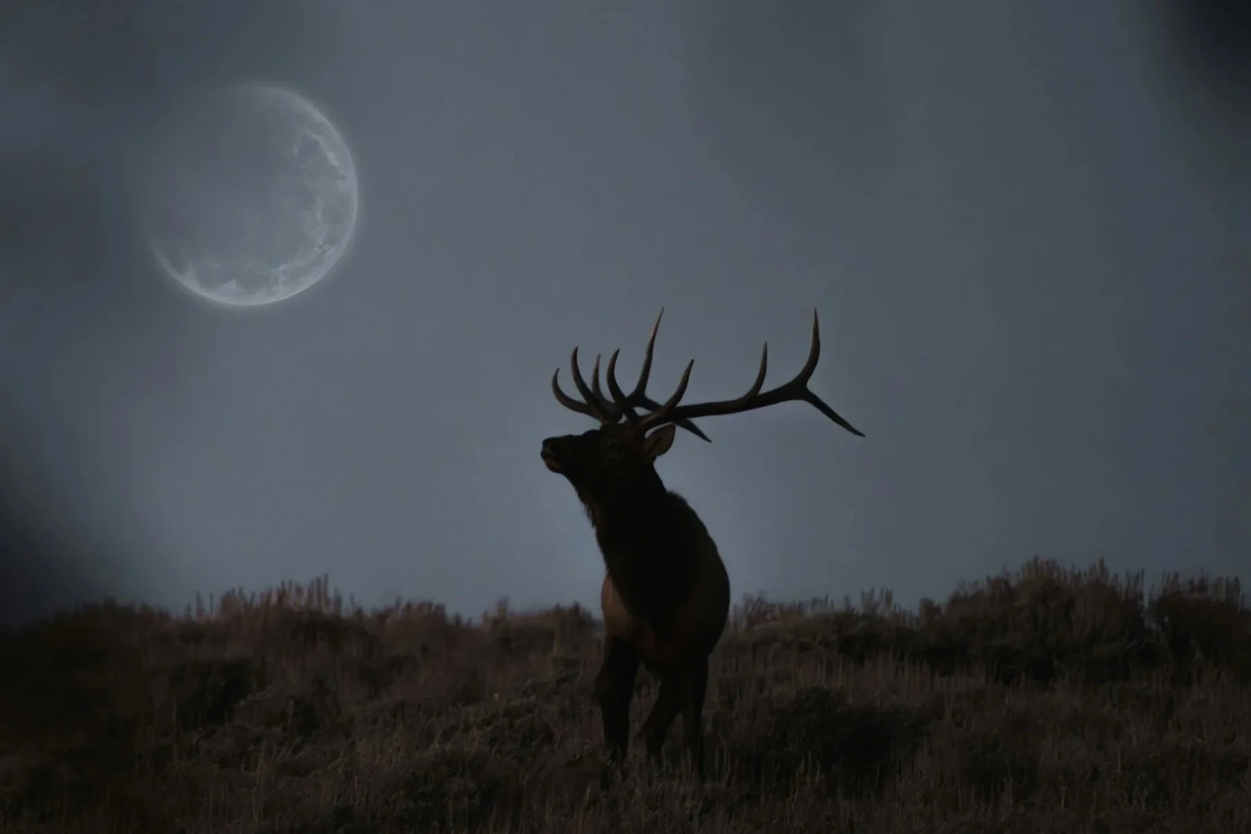 Full Moon Gathering: Mindful Practices and Community Connection with Carrie Dennison