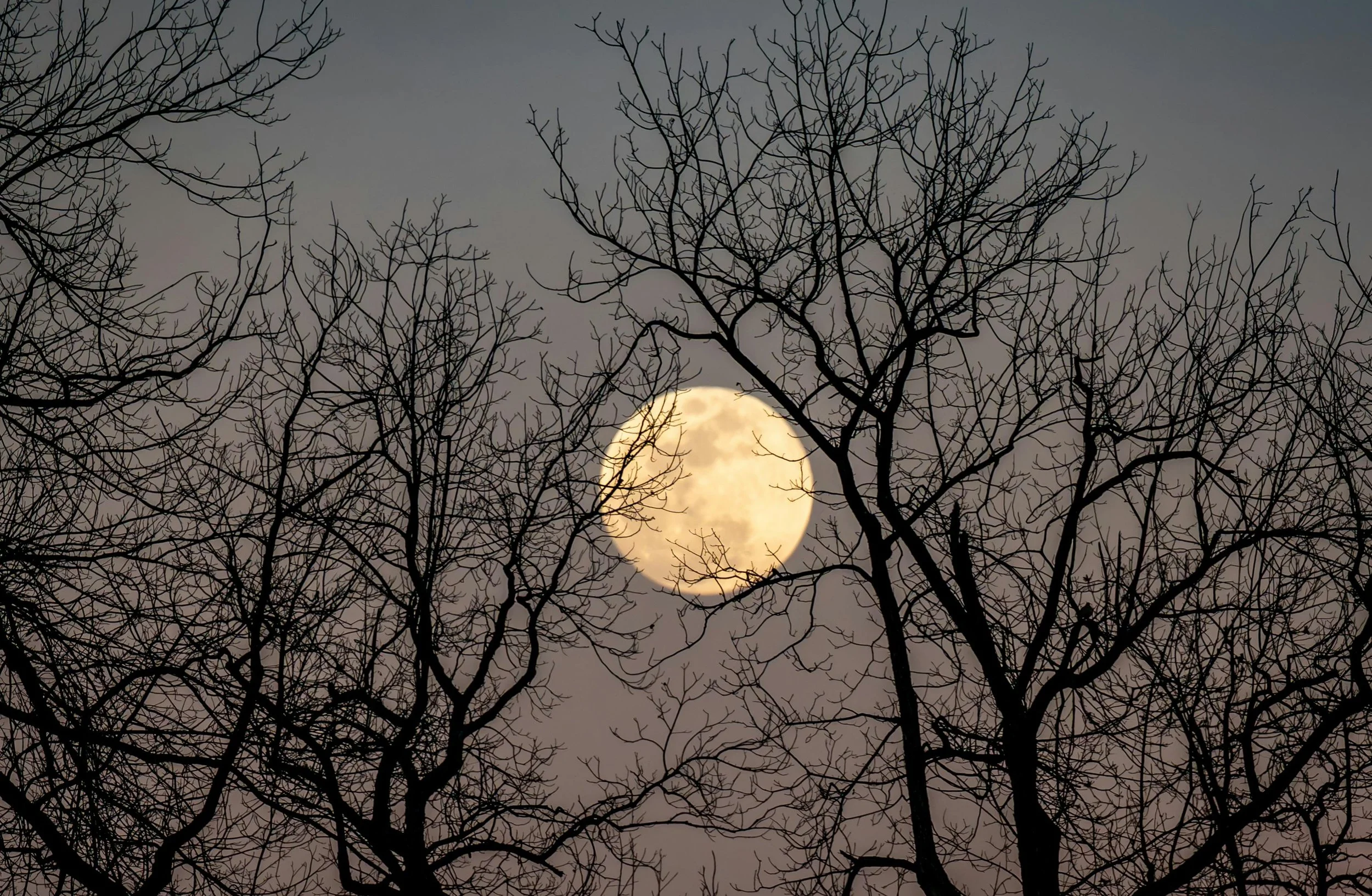 Full Moon Gathering: Mindful Practices and Community Connection with Sabrina Remsburg