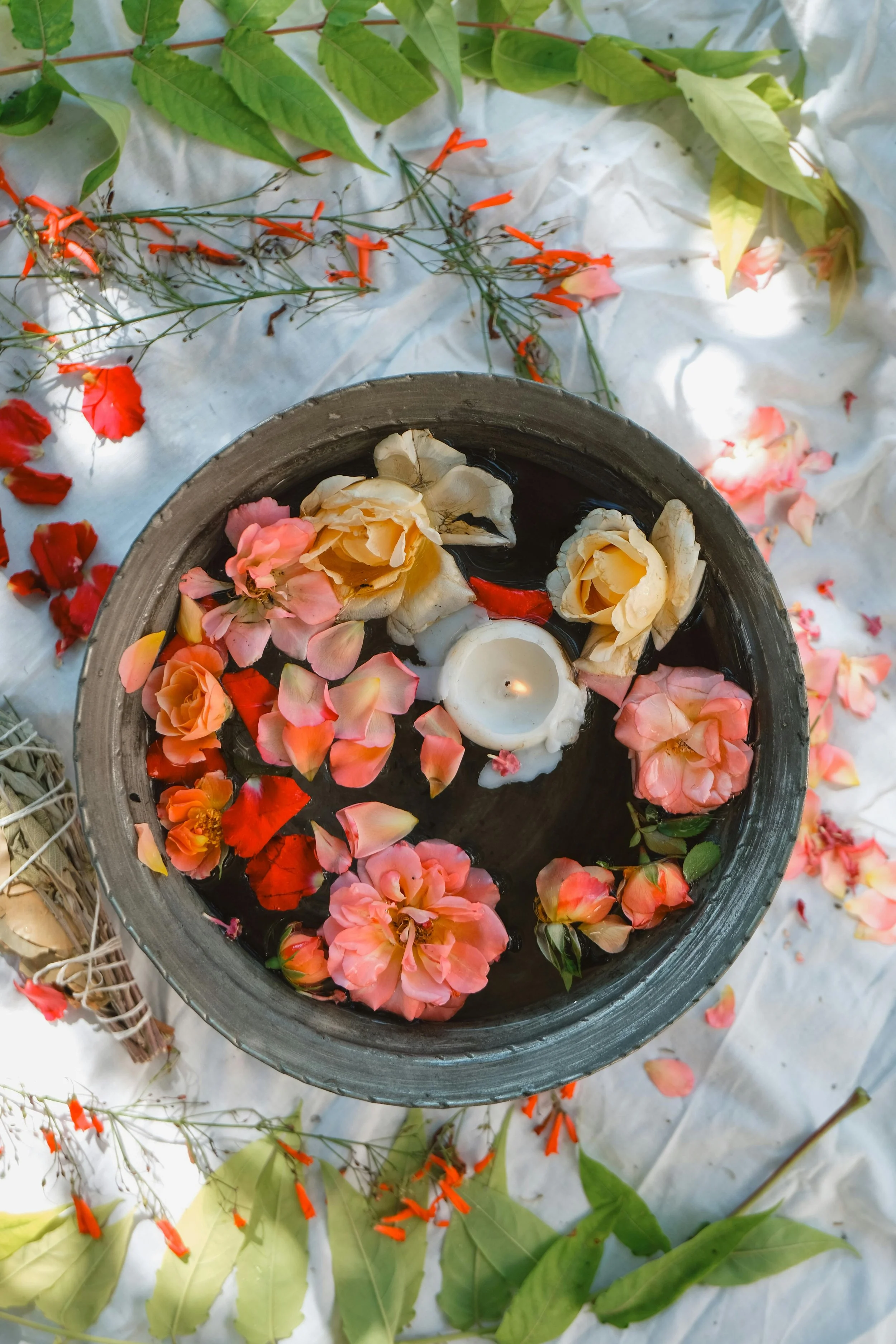 Summer Solstice Renewal Gathering with Kathryn Bovino