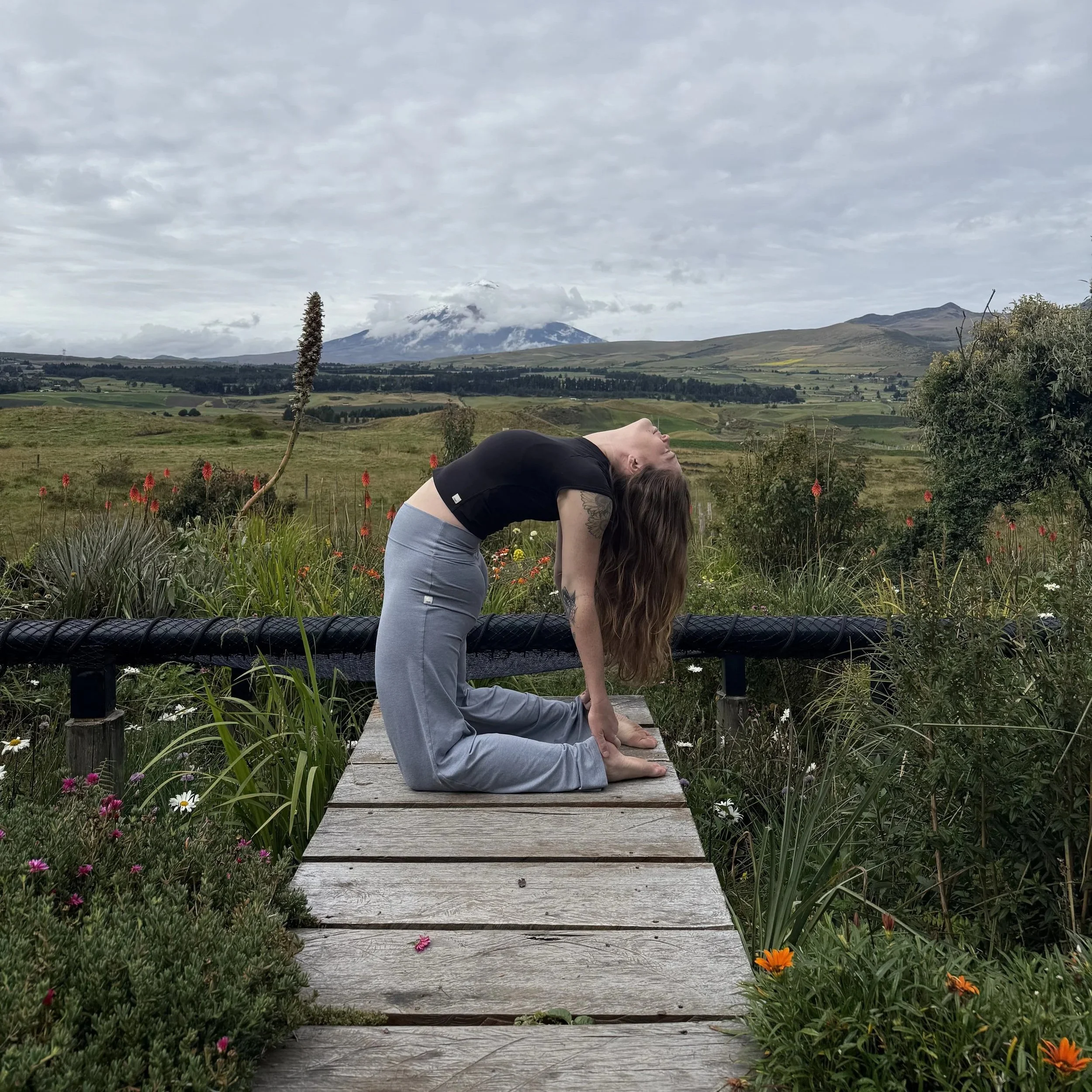 NEW Weekly Class - Classical Strength Yoga with Ashley Rhodes