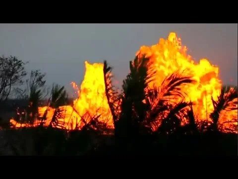 1 Minute King Horse Films Showreel 2021 (Copy)