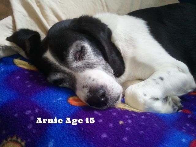 Arnie
