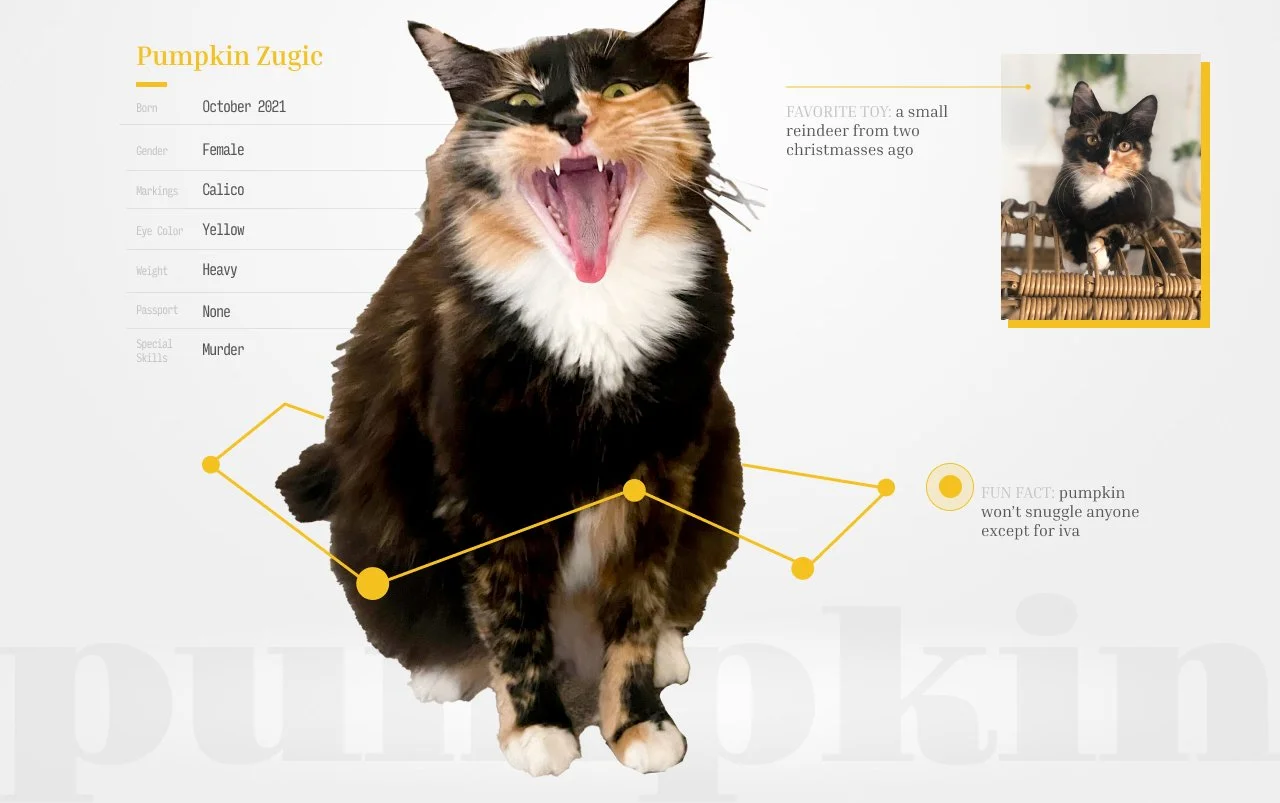 Pumpkin Stat Card.jpg