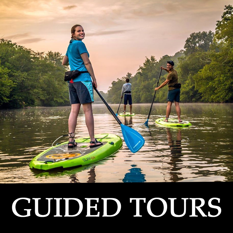 Guide Tours Logo.jpg