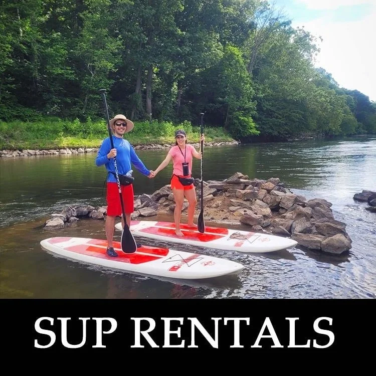 SUP+Rentals+Thumb-min.jpg
