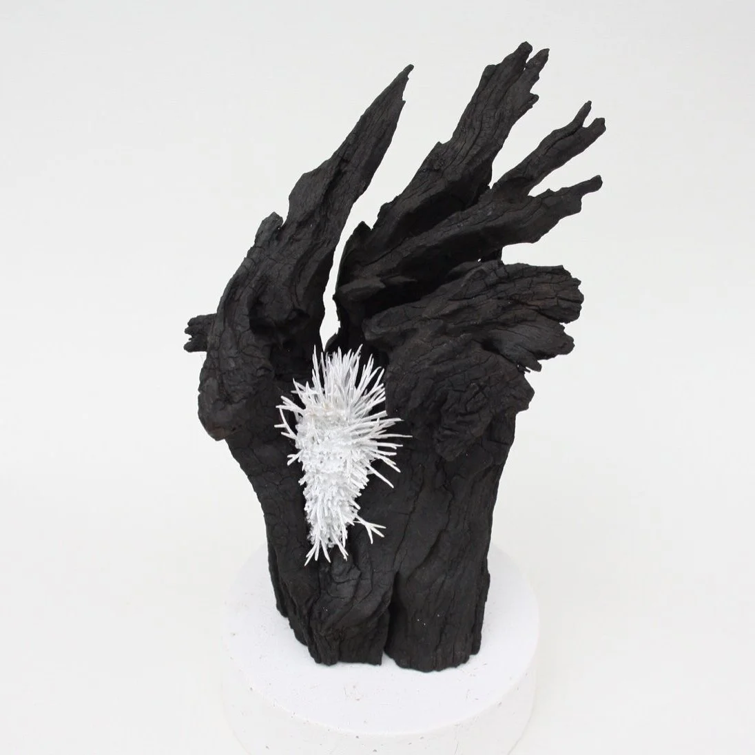 Morphic Resonance #2