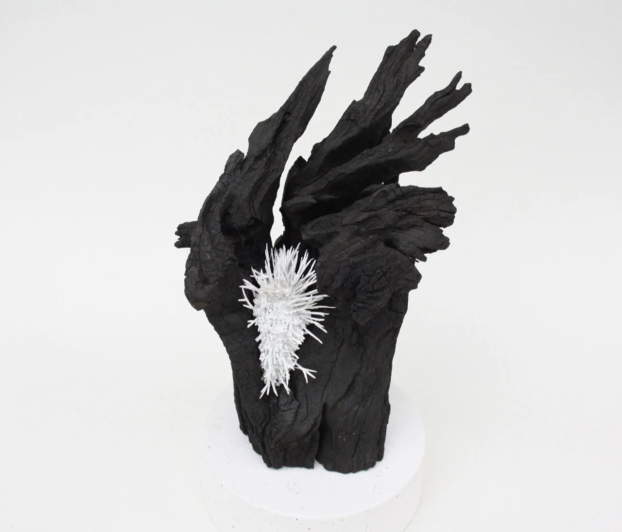 Morphic resonance #2