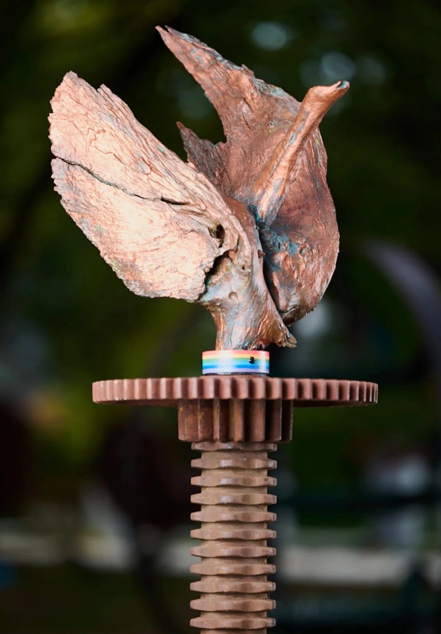 Phenix Rising