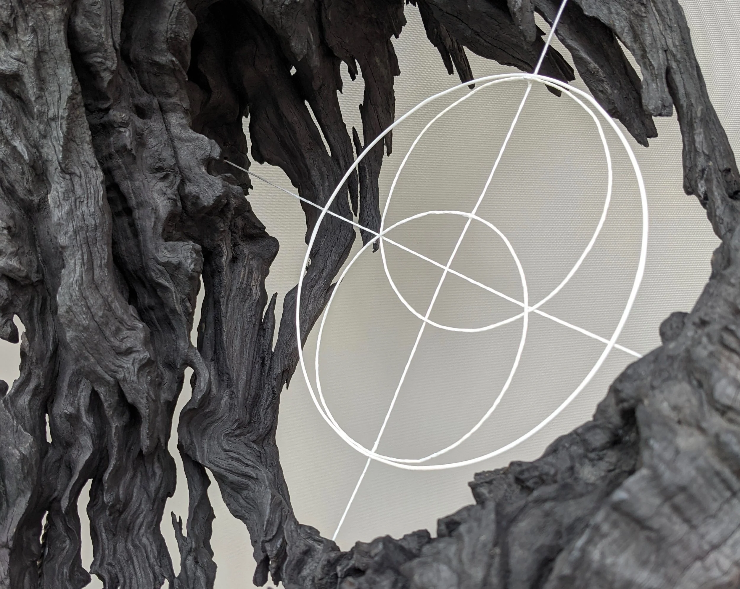 Mandorla (detail).jpg