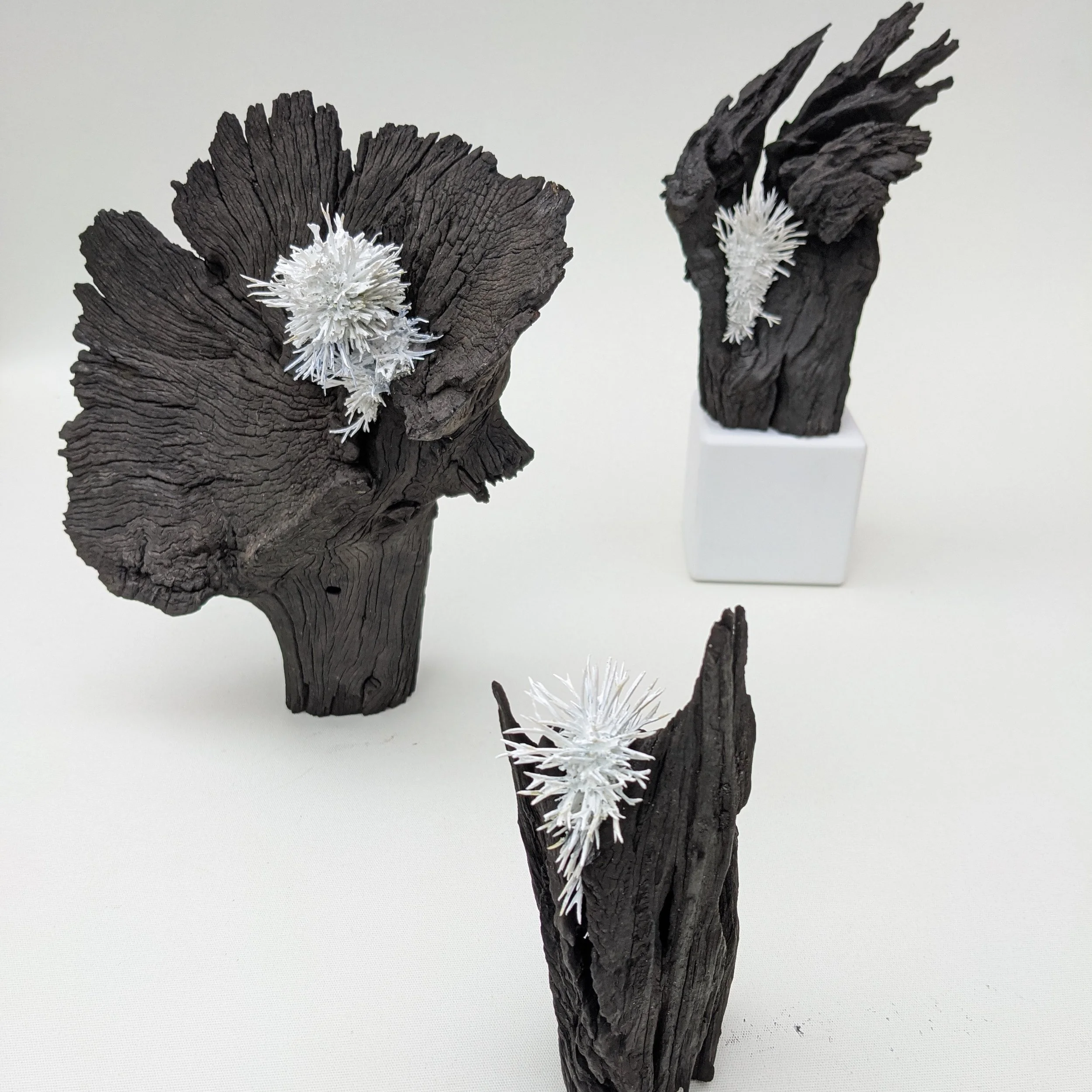 Morphic resonance #3 on display (Foreground).jpeg