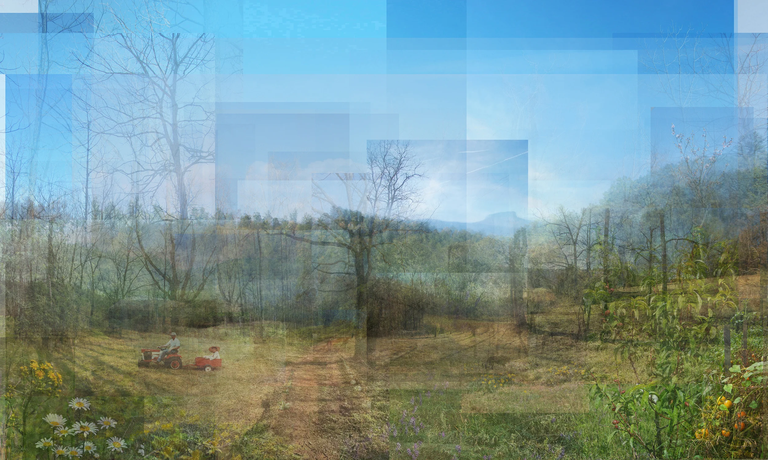 RabbitPatch6site2.jpg