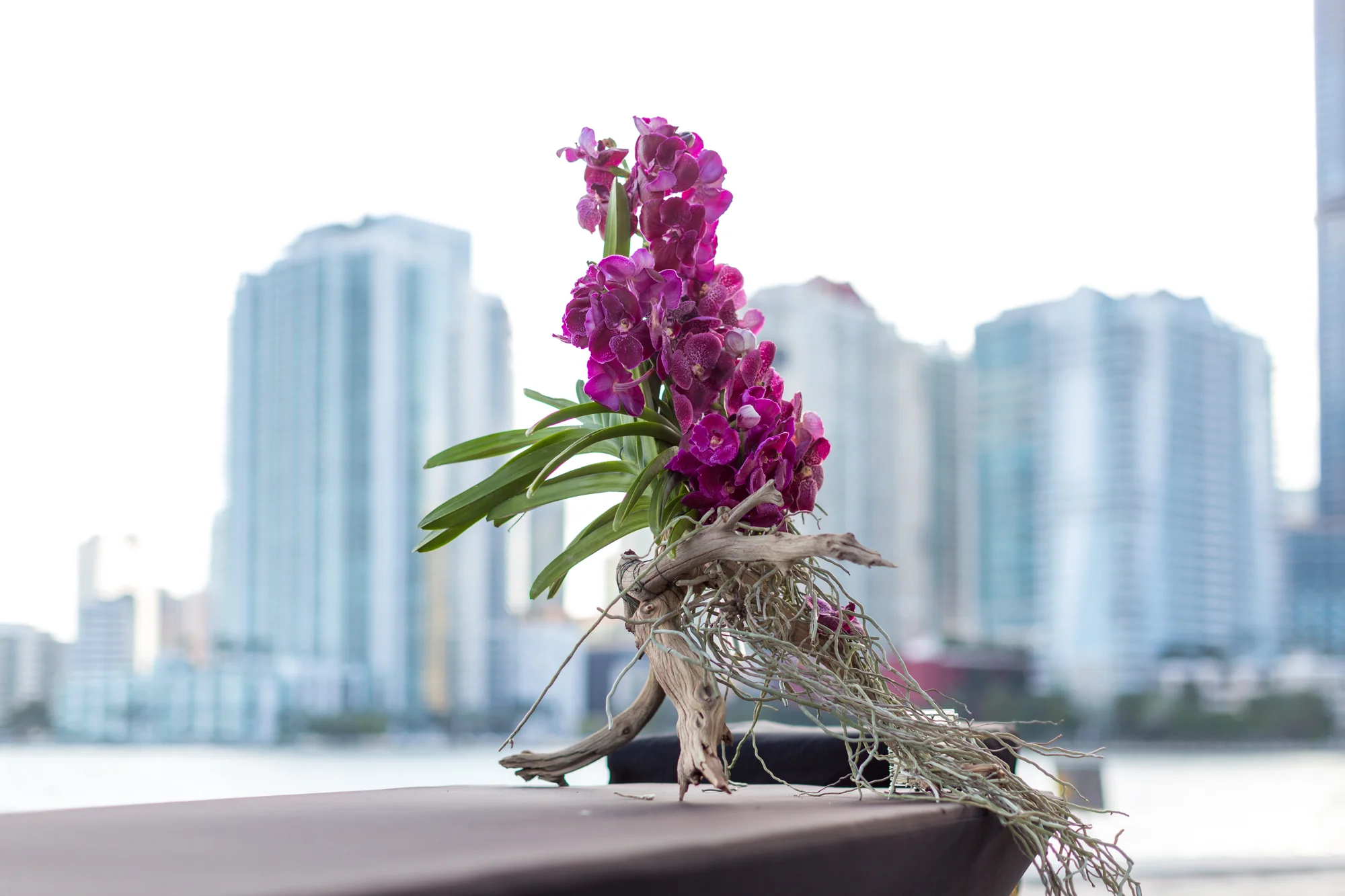 Mandarin Oriental_054.jpg
