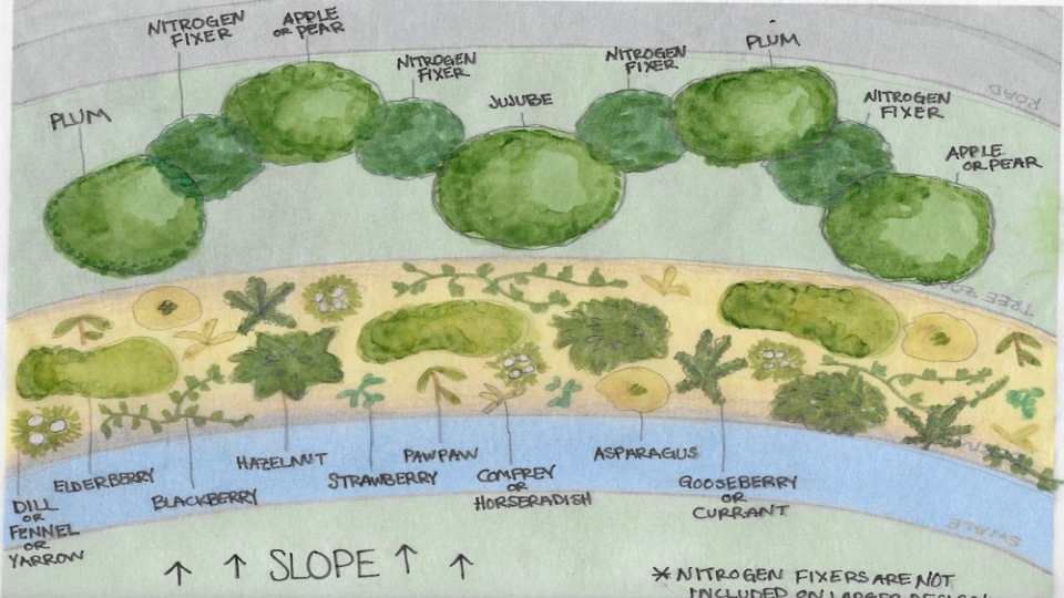 Plant Picture Website.jpeg