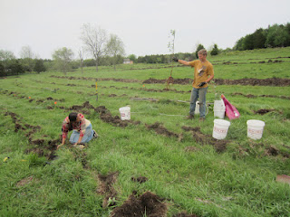 Planting+trees+before+the+storm+-+Spring+2012.JPG