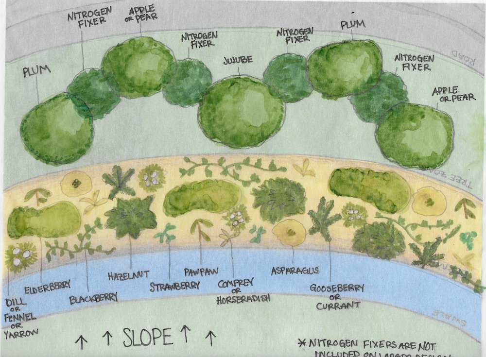 Plant Picture Website.jpeg